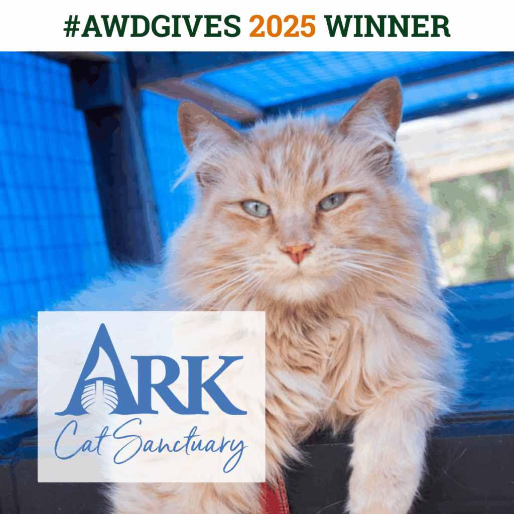 AWD LAW | Community #AWDGIVES2025